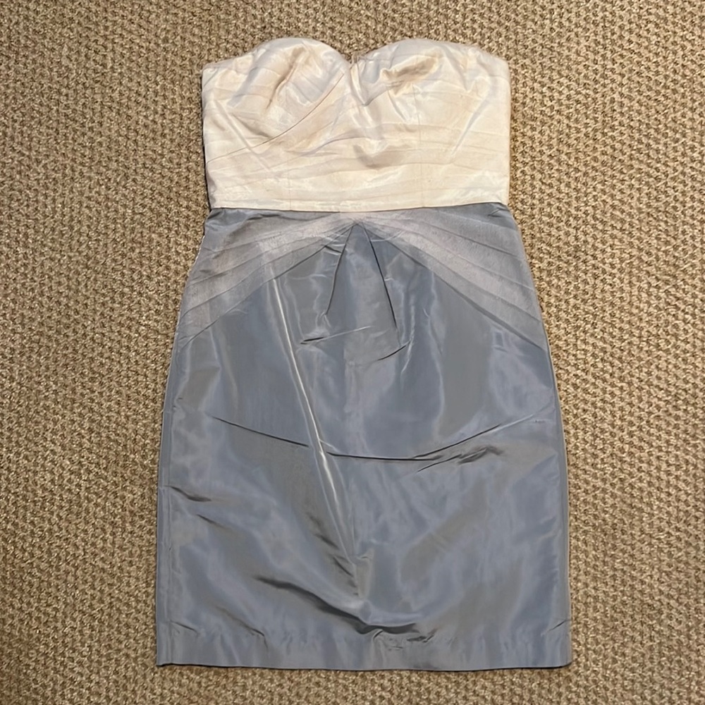 Banana Republic silver and cream silk and tulle strapless dress